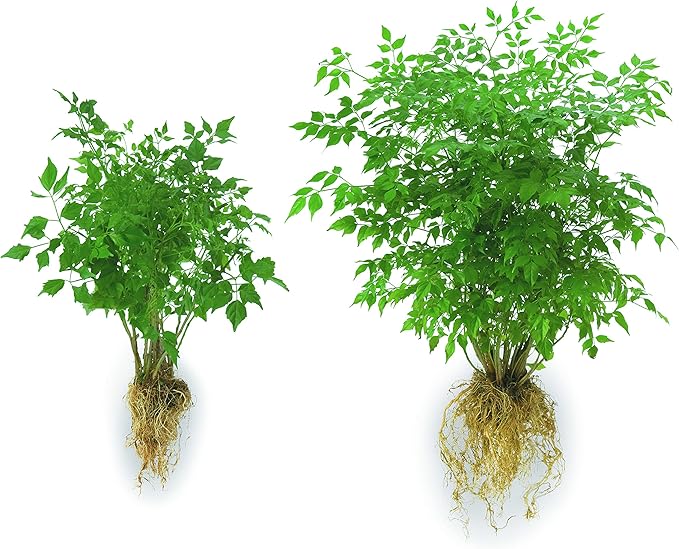 Soil Moist Flower & Garden Plus Mycorrhizal Soil Additive