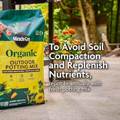 Miracle-GRO Organic Outdoor Potting Mix, for Outdoor Container Plants, Contains Quick-Release Natural Fertilizer, OMRI Listed, 16 qt., 2-Pack