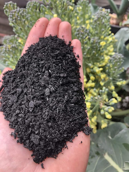 TeaLAB BioChar: 16 Cups