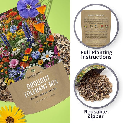 Drought Tolerant Wildflowers Mix – Bulk Quarter Pound Bag – Over 30,000 Open Pollinated Non-GMO Seeds – 21 Different Dryland Species