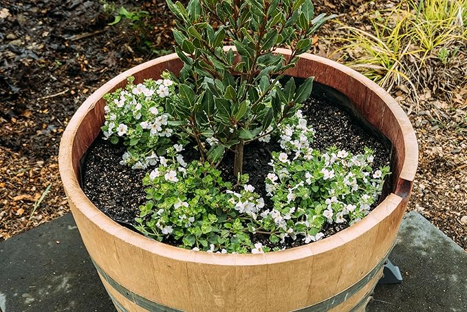 Barrel Liner Kit – Heavy-Duty 100 Micron Plastic Liner with Drain Tubes & Mesh – Prevents Rot, Conserves Water, Fits Wine, Whiskey, Acacia & Cedar Planters – Made in New Zealand