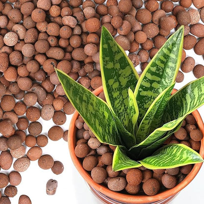 T4U Leca Clay Pebbles for Plants, 11.5qt 10-20 mm Clay Balls for Indoor Plants, Natural Clay Pebbles for Orchid Potting Mix, Hydroponic, Leca Pots, Plant Drainage, Garden Soil