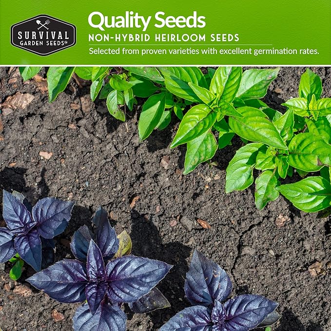 Easy to Grow Vegetable & Herb Seed Collection - 10 Packs of Non-GMO Heirloom Open-Pollinated Veg & Herb Essentials for Gardening Beginners - Seed Saver Instructions on Packets - Survival Garden Seeds