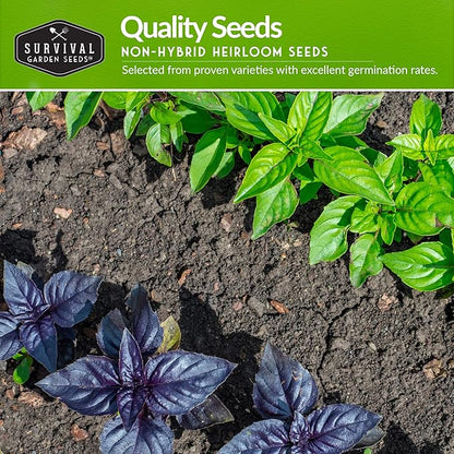 Easy to Grow Vegetable & Herb Seed Collection - 10 Packs of Non-GMO Heirloom Open-Pollinated Veg & Herb Essentials for Gardening Beginners - Seed Saver Instructions on Packets - Survival Garden Seeds