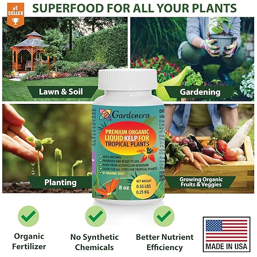 GARDENERA Premium Organic Seaweed & Kelp Superfood for Tropical Trees Plants - 8 oz - Liquid Kelp Fertilizer Concentrate (Makes 45 Gallons)