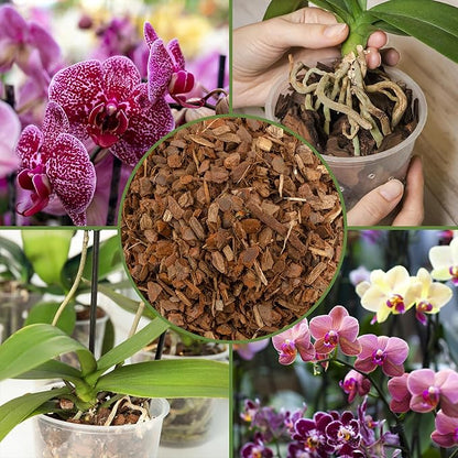 Soil Sunrise 100% Organic Orchid Potting Bark (8 Quarts) All-Natural USA-Sourced Pine Bark Orchid Mix Additive