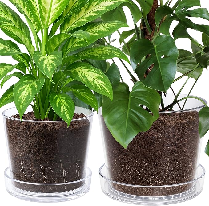 Phoenix Vine 10 Inch 12 Inch Clear Acrylic Houseplants Planter Pot with Tray, Orchid Pot with Drainage Holes, Deep Saucer for Bottom Watering, Transparent Containers for Indoor Plants, Herbs, 91-B-Z