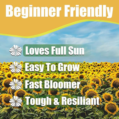 Park Seed Variety of Sunflower Plant Seeds, Easy to Grow, Perfect for Spring Garden, Prairie, Pack of 50