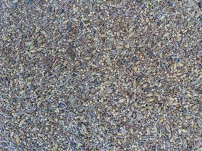 Premium Chicken Poultry Pasture Forage and Fodder Seeds (5-lb. Bag) - [33% Each: Clovers, Supplemental, Grains]