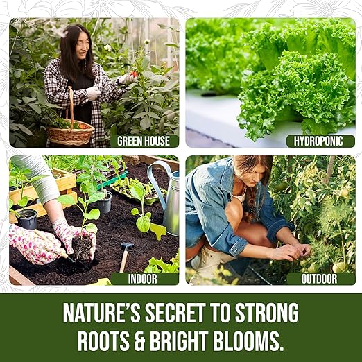 PlantVantage Root & Bloom Liquid Fertilizer - Concentrated Liquid Plant Fertilizer for Strong Roots & Bigger Blooms, Plant Food for Trees, Flowers & Vegetables, Soil or Foliar Application, 1 Gallon