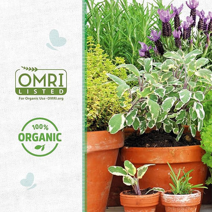 Back to The Roots 100% Organic Vermiculite | Made in The USA | Premium Nutrition for Indoor and Outdoor Plants