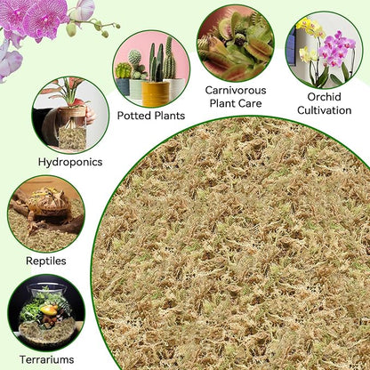 ZeeDix Natural Sphagnum Moss for Plants, Orchid Moss Potting Mix for Repotting, High Water Retention, Help with Maintain Humidity, Plant Moss for Gardening, Hanging Baskets, Reptile Bedding, 1QT