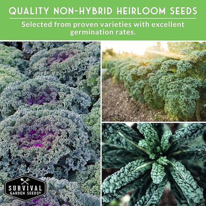 Kale Seeds 5 Variety Pack for Planting | Red Russian, Scarlet, Lacinato, Siberian & Ornamental Kale Seeds – Heirloom Non-GMO Cool Weather & Winter Greens – Survival Garden Seeds