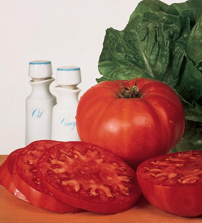 Burpee 'Supersteak' Hybrid | Large Red Beefsteak Slicing Tomato | 125 Seeds