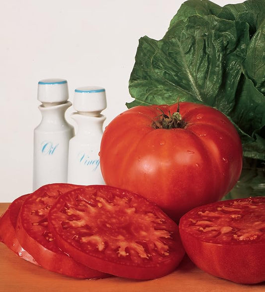 Burpee 'Supersteak' Hybrid | Large Red Beefsteak Slicing Tomato | 125 Seeds