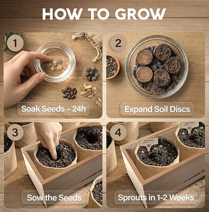 DIY Bonsai Tree Kit for Beginners – 5X Unique Japanese Bonzai Trees, Complete Indoor Bonsai Starter Kit for Growing Bonsai Plants w/Tools & Planters – DIY Christmas Gardening Gifts for Mom