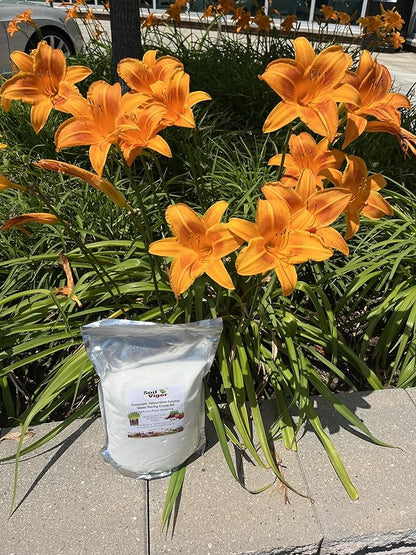 Super Absorbent Polymer Helps Plant Growth and Plant Establishment (45 Pounds)