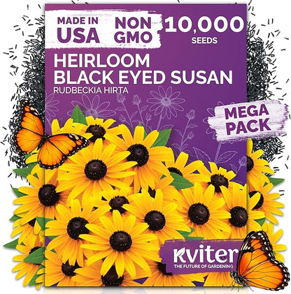 KVITER 10,000 Black Eyed Susan Seeds for Planting (Rudbeckia hirta) – Gloriosa Daisy Wildflower Seed, Heirloom, Non-GMO & Organic – Flower Seeds to Plant Outside & Inside, Borders, Containers