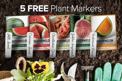 Gardeners Basics Watermelon Fruit Seeds for Planting Home Garden 5 Variety Packets - Crimson Sweet, Jubilee Improved, Tendersweet Orange, Charleston Grey, and All Sweet Watermelon Seed Packs