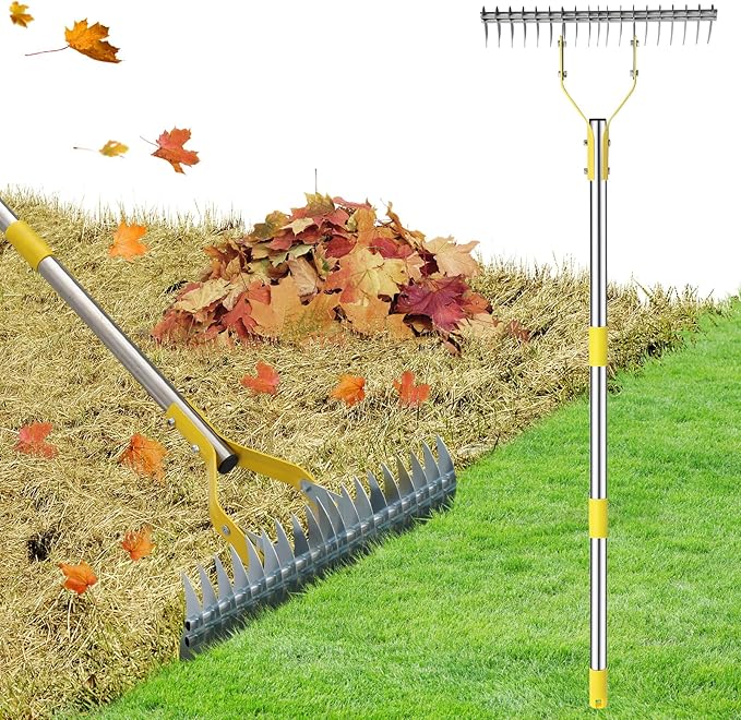 Thatch Rake, 2 in 1 Stainless Steel Garden Rake for Thatch Leaves,55” Heavy Duty 19 Tines Lawn Manual Dethatcher with Adjustable Head,Thatching Rakes for Lawn Yard Grass,Debris Removal, Soil Loosen