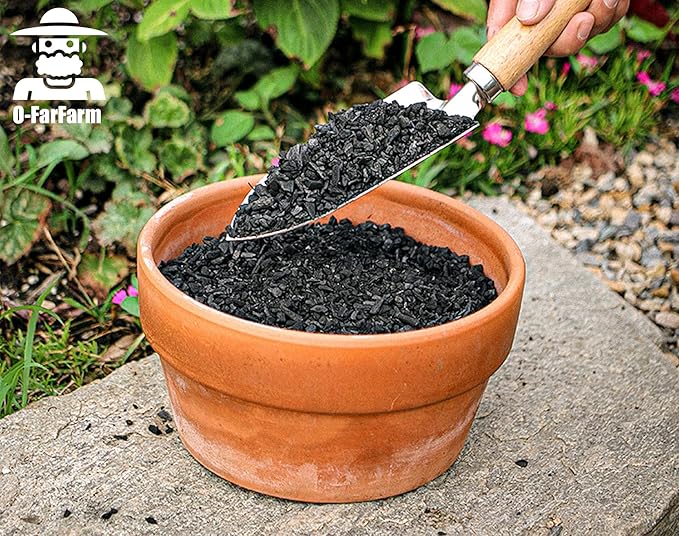 Horticultural Charcoal for Potted Plants 1 QT, Hardwood Charcoal for Potting Soil Amendment, Orchids, Terrariums, and Gardening