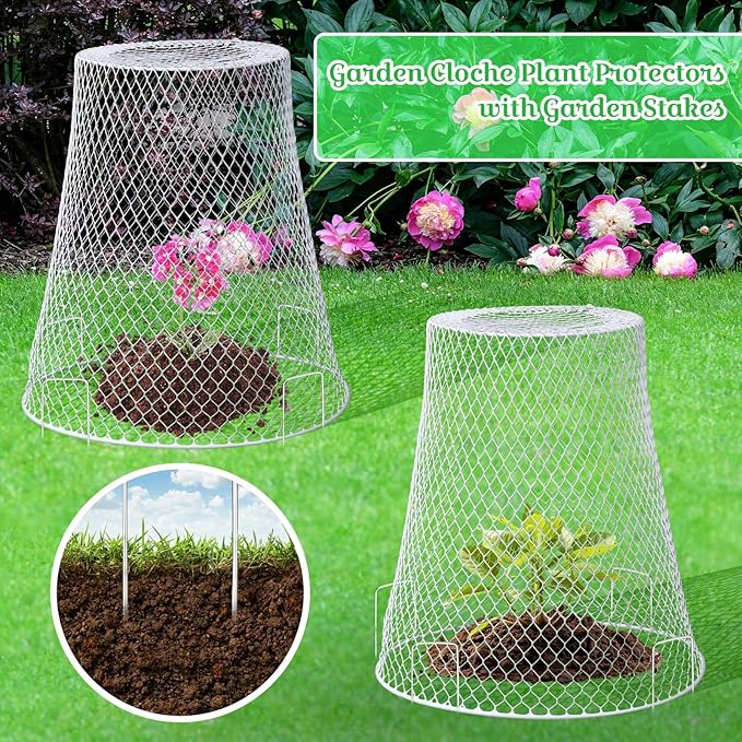 Therwen 15 Pcs Large Chicken Wire Cloche Plant Protector Cover 11x12 Inch Metal Garden Cloche Dome for Plants Wire Protection Basket with Garden Stakes Plant Cages from Animals (White)