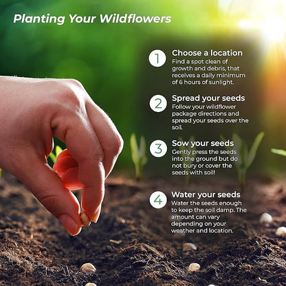 New Mexico Wildflower Seed Mix, Covers 325 Sq Ft, 14 Flower Varieties, Over 30,000 Seeds, Created By Nature