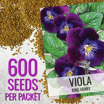 Seed Needs Viola Seeds for Planting King Henry Violas - Heirloom & Open Pollinated Annual Flower Seed to Plant an Outdoor Butterfly Wildflower Garden (5 Packs)