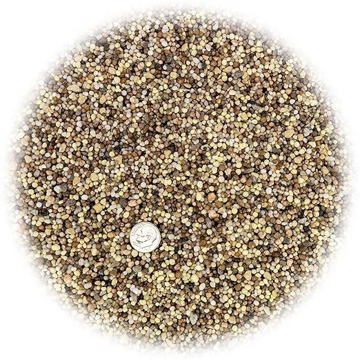 Premium 13-3-13 All-Season Fast Acting Landscape and Ornamental Fertilizer by Gardenera - Promotes Biomass Growth and Vibrant Leaf Color - 10 Quarts