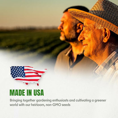 Cucumber Marketmore 76 Seeds for Planting – 200+ Heirloom Slicing Cucumbers, Crisp Sweet Flavor, Non-GMO, High Germination, Indoor & Outdoor Garden (Cucumis sativus)