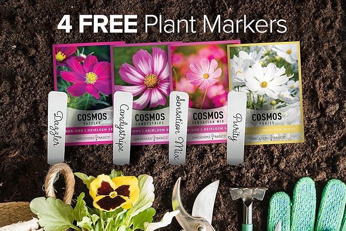 Gardeners Basics, Cosmos Seeds for Planting Outdoors Flower Seeds (4 Variety Pack) Cosmos Candystripe, Sensation Mix, Dazzler, Purity Pink and White Varieties for Bees, Pollinators Wildflower Seed