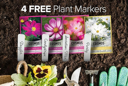 Gardeners Basics, Cosmos Seeds for Planting Outdoors Flower Seeds (4 Variety Pack) Cosmos Candystripe, Sensation Mix, Dazzler, Purity Pink and White Varieties for Bees, Pollinators Wildflower Seed