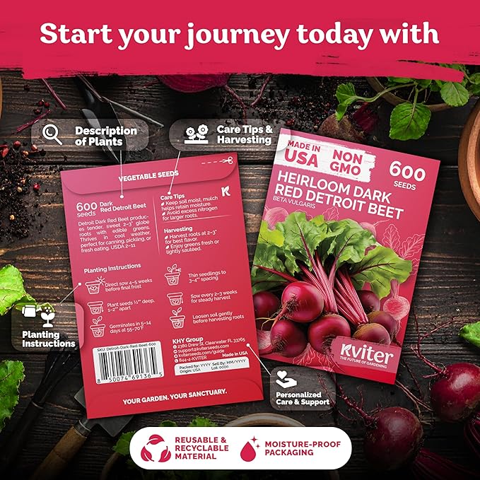 KVITER 600 Detroit Dark Red Beet Seeds (Beta vulgaris) - Known As Beet Root, Tender & Sweet 2-3" Red Beets - Non Gmo & Heirloom Vegetable Seeds For Planting Outdoors in Garden, Raised Beds, Containers