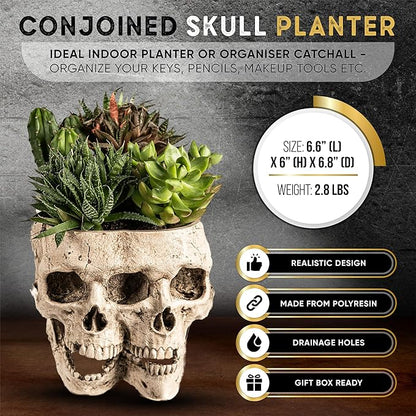 Kobi & Knight Skull Planter Pot for Indoor Plants - Skull Flower Pot in Gift Box - Gothic Planter Pot for Succulents, Brain Cactus Plants - Double Skull Planters for Halloween, Goth Home Decor