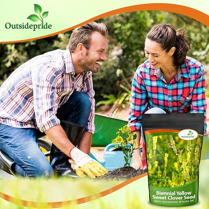 Outsidepride Yellow Sweet Clover Seed - 20 lbs Biennial, Drought-Tolerant, Frost-Resistant, Nitrocoated, Inoculated Yellow Clover Seeds Cover Crop for Forage, Honey Production, & Pollinators