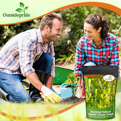 Outsidepride Yellow Sweet Clover Seed - 20 lbs Biennial, Drought-Tolerant, Frost-Resistant, Nitrocoated, Inoculated Yellow Clover Seeds Cover Crop for Forage, Honey Production, & Pollinators