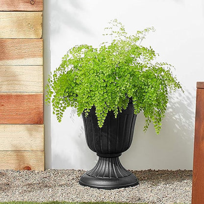 Arcadia Garden Products PL20BK Classic Traditional Plastic Urn Planter, Indoor or Outdoor Garden Decor, Flower Pot Vase 10x12 - Black
