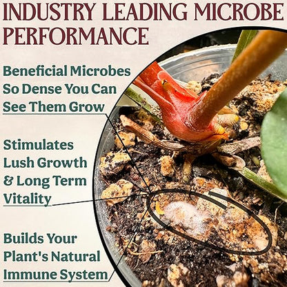 Complete Organic Cactus & Succulent Fertilizer, Succulent Plant Food & Cactus Food, Bonsai, Snake Plant Fertilizer, 7 Servings Fast & Slow Release Feeds up to 28 Plants 8 Months