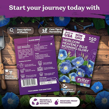 KVITER 150 Heavenly Blue Morning Glory Seeds Bulk (Ipomoea Tricolor) – Heirloom Seed Packets – Climbing Flower Seeds for Planting Outside, Blue Blooms for Home Garden Trellises, Fences