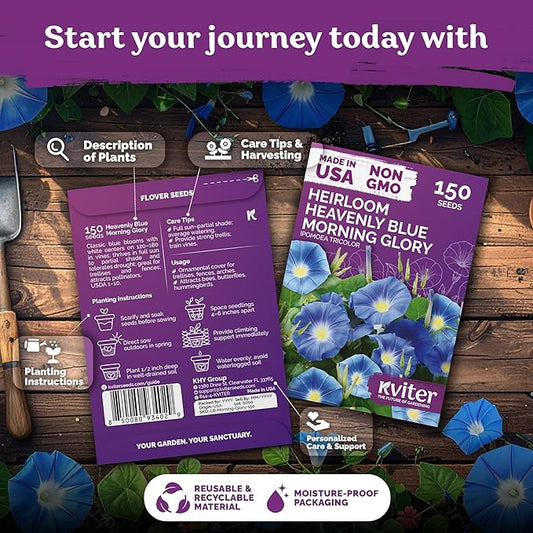 KVITER 150 Heavenly Blue Morning Glory Seeds Bulk (Ipomoea Tricolor) – Heirloom Seed Packets – Climbing Flower Seeds for Planting Outside, Blue Blooms for Home Garden Trellises, Fences