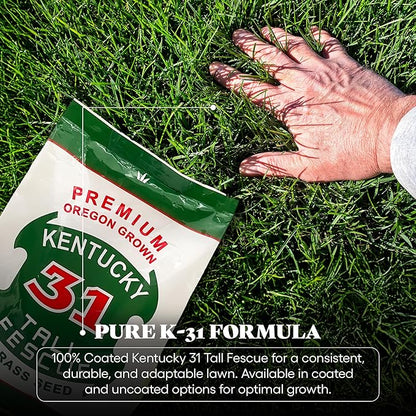 X-Seed Oregon Grown Kentucky 31 Tall Fescue Grass Seed for Sun and Shade Drought-Resistant Lawn for High Traffic, Forage & Turf Grass – Designed for Extreme Durability & Retaining Moisture – 5 lb Bag