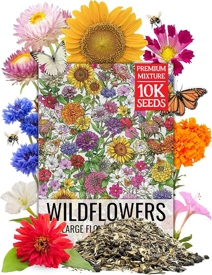 Seed Needs 2 Ounce Large Blooms Mix Hummingbird and Butterfly Garden Wildflower Flower Seeds for Planting | 7 Varieties Open Pollinated | Resealable Package Live Wild Flower Seed | Bulk