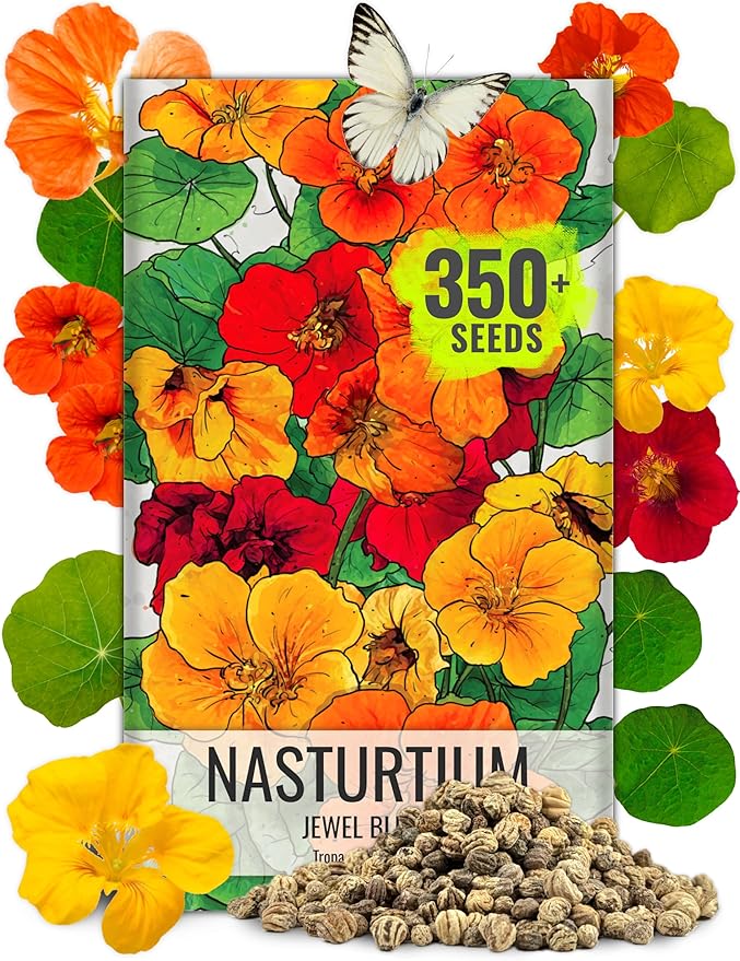 Seed Needs Nasturtium Seeds Jewel Mix Multicolored Edible Flowers | 1.5 Ounce 350+ Seeds Tropaeolum Nanum Annual Flower Seed Mix | Bulk Jewel Nasturtiums for The Garden