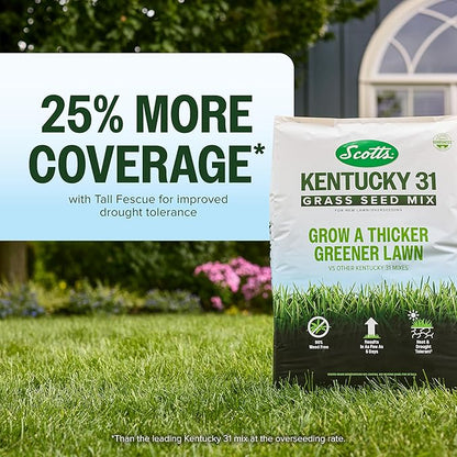 Scotts Kentucky 31 Grass Seed Mix for New Lawns or Overseeding - Lawn Grass Seed That Grows Thicker and Greener vs. Other Kentucky 31 Mixes, Covers up to 10,000 sq. ft.