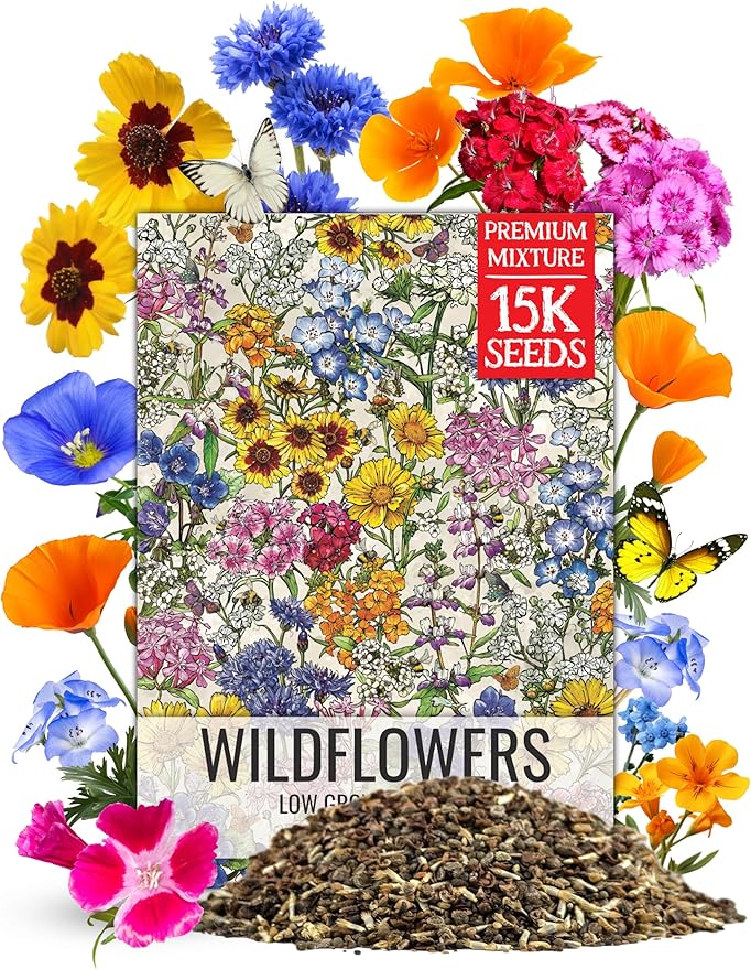 Seed Needs Low Growing Wildflower Flower Seeds for Planting | 1 Ounce Mixture/Blend 17 Varieties | Resealable Package Multicolored Blooms Open Pollinated Mixed Species | Bulk
