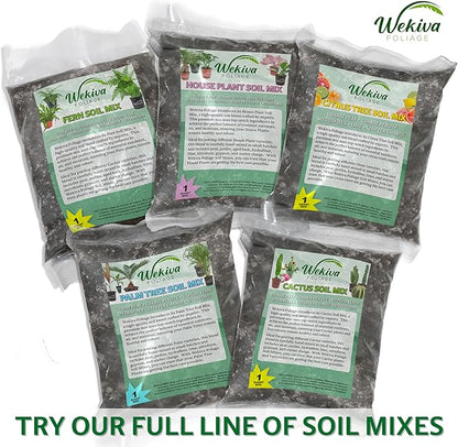 Fern Growing Soil Mix – 10 Quarts - Custom Soil Blend – Potting Mix for Fern Plants – Specially Developed by and for Professional Nursery Growers - Nutrient-Rich Formula
