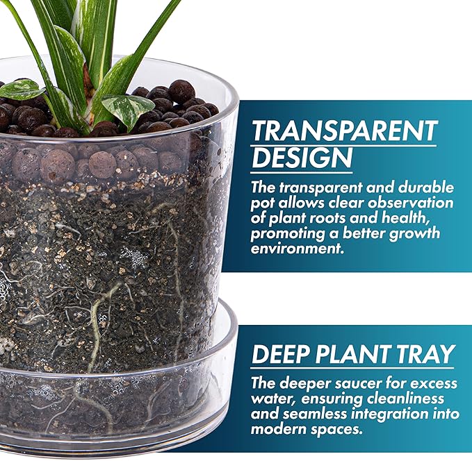 Phoenix Vine 4.5 Inch 6.5 Inch Clear Acrylic Houseplants Planter Pot with Tray, Orchid Pot with Drainage Holes, Deep Saucer for Bottom Watering, Transparent Containers for Indoor Plants, Herbs, 91-B-W