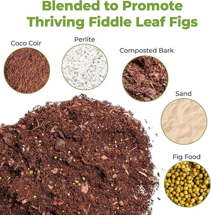 Fiddle Leaf Fig Soil by Perfect Plants 8QTS, Premium Professional Blend for All Fiddle Leaf Figs