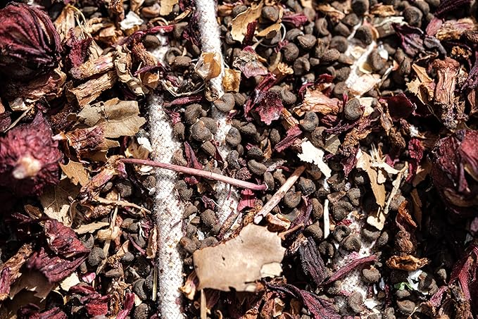 Plant Good Seed Organic Hibiscus sabdariffa/Jamaica/Red Roselle Seeds for Planting: Culinary and Tea Herb, Red Fleshy Calyces - 30 Seed Packet