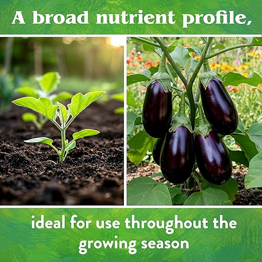 Down To Earth All Natural Fertilizers Organic Vegetable Garden - Plant Food for Vegetables, Herbs, Greens and Raised Beds 4-4-4, 15 lb